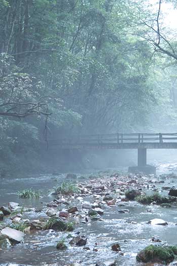 景區生態環境監測站解決方案